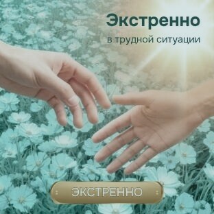 Всё по полочкам